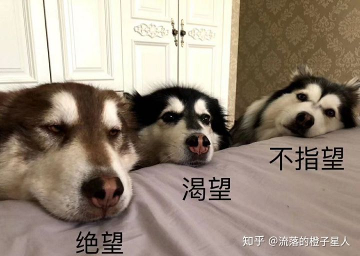 为什么在制作N型半导体时掺杂五价原子？而不是掺杂六价原子甚至七价原子，不是自由电子更多吗？