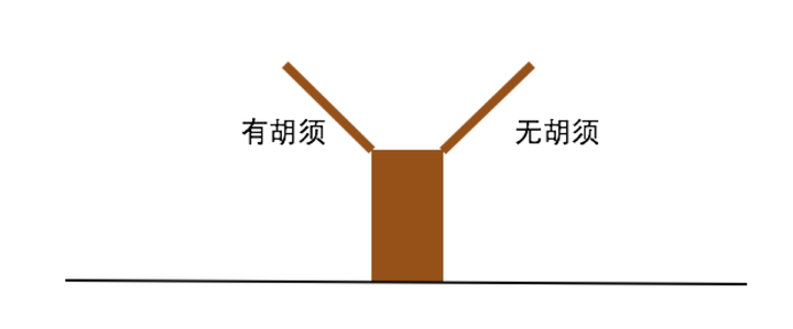 v2-d9fa437cd138885028c16fc707fdc180_b.png