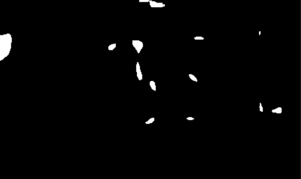 image-20200604223537291