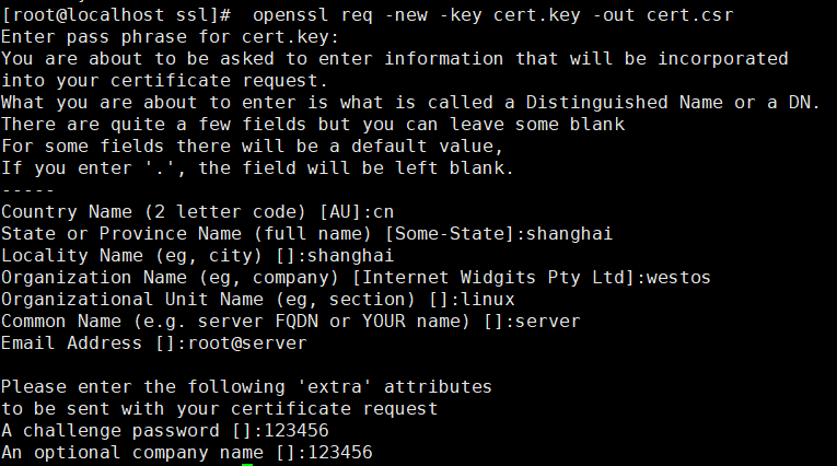 linux系统自签发免费ssl证书，为nginx生成自签名ssl证书