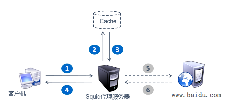 了解squid服务以及安装部署