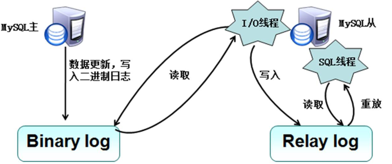 MySQL主从复制与读写分离