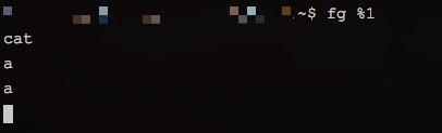 clipboard.png