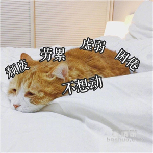 sql常见面试题目(多表联查)