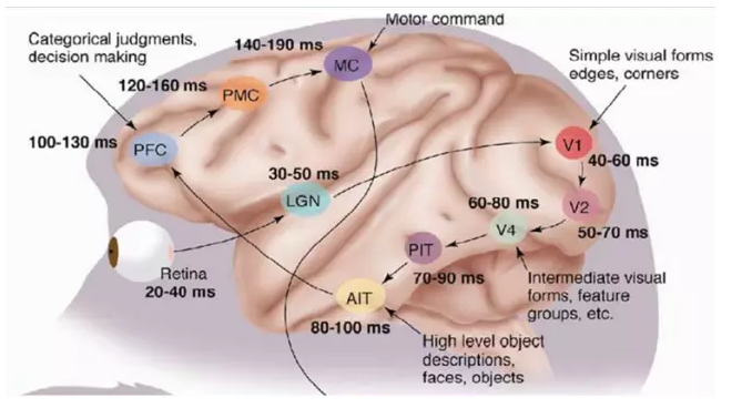 ​大牛的《深度学习》笔记，Deep Learning速成教程