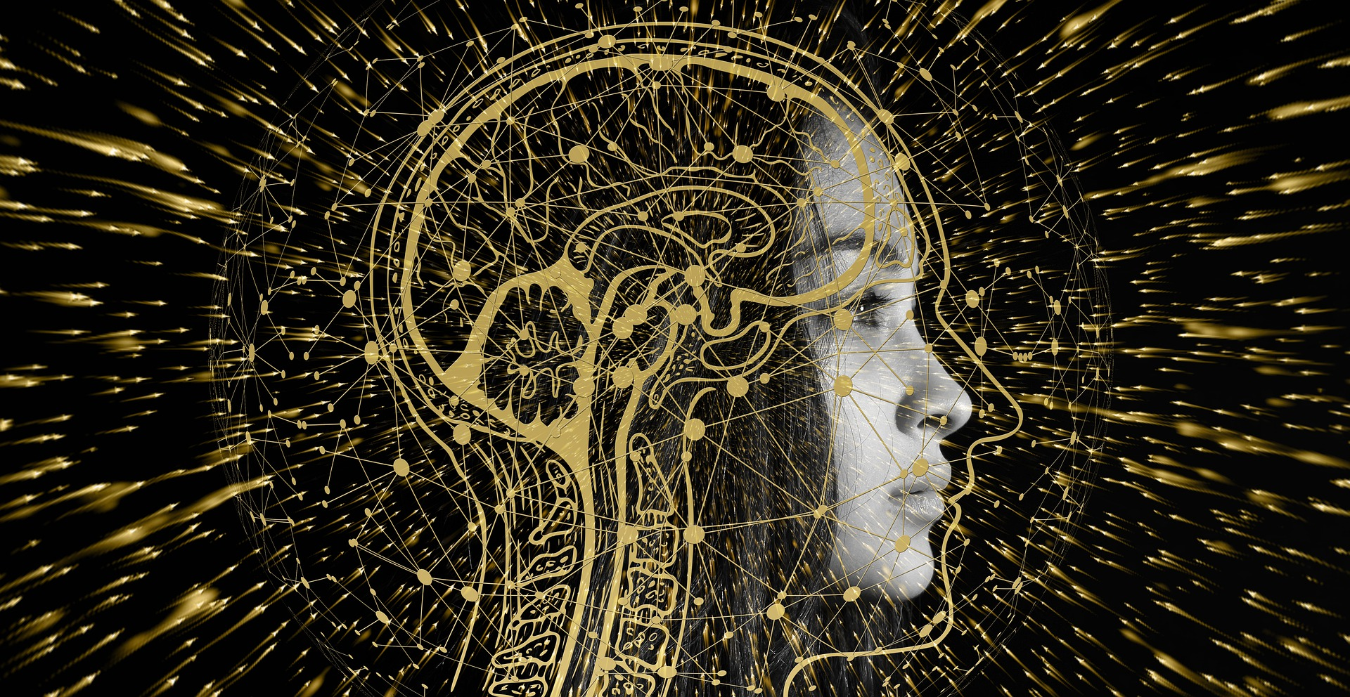 科学者は3％に、「読んで心が」直接テキストに脳波を変換エラーレートを開発しました