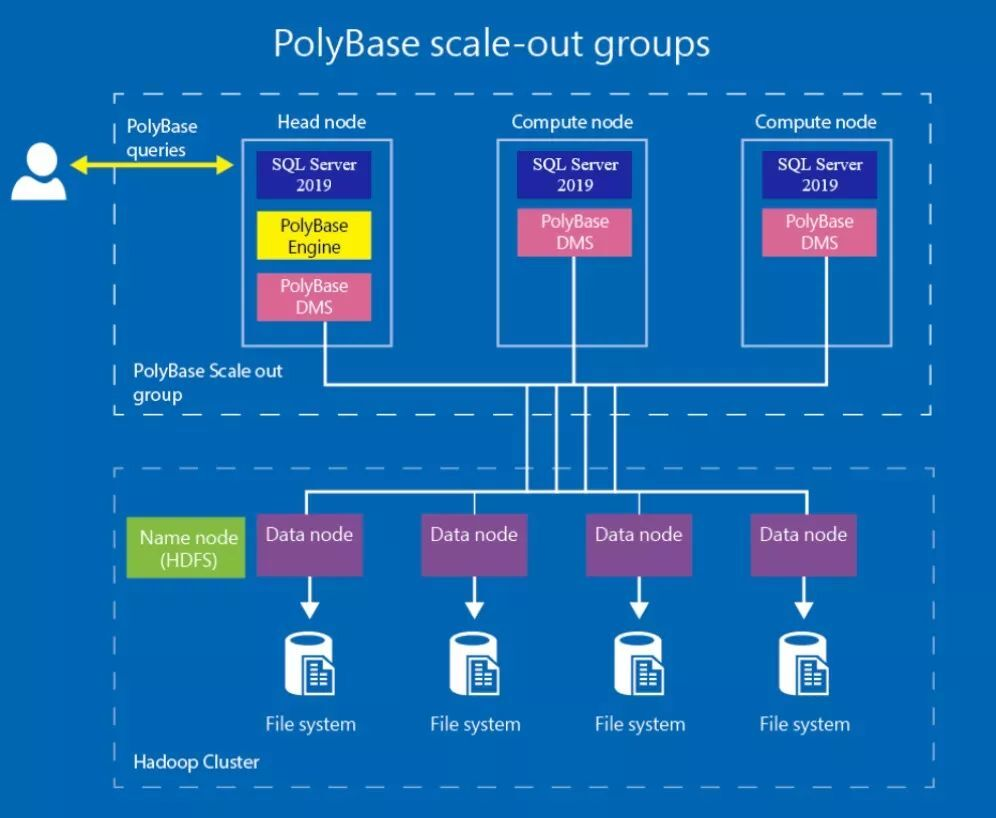 SQL Server 2019 深度解读：微软数据平台的野望_sql2019 的新应用 知乎_Crossln.的博客-CSDN博客