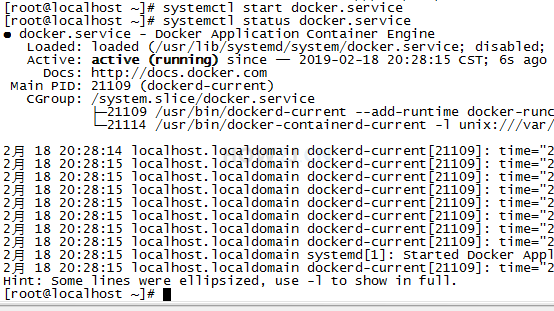 启动 Docker